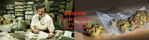 ALPHA PVP Ельня