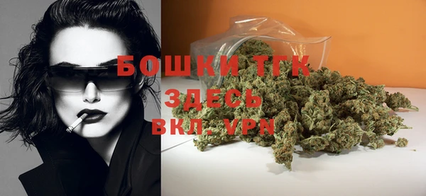дмт Елизово