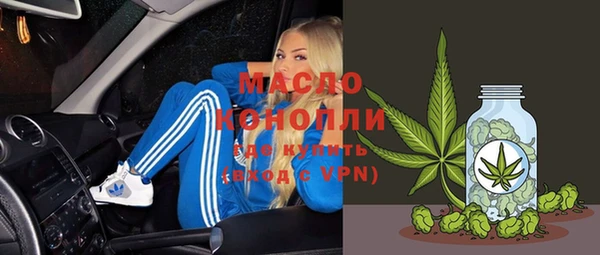 сатива Елабуга