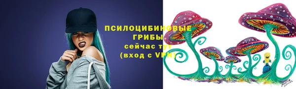 сатива Елабуга