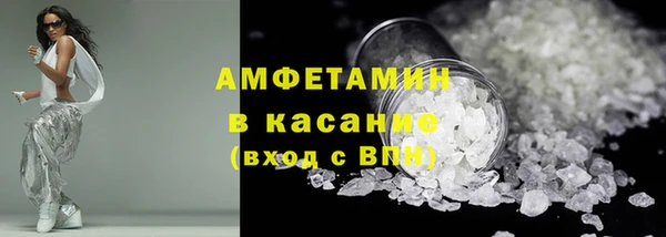сатива Елабуга