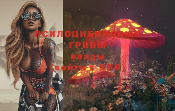 бошки Яровое