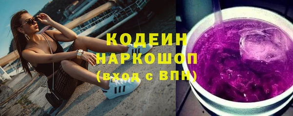 дмт Елизово