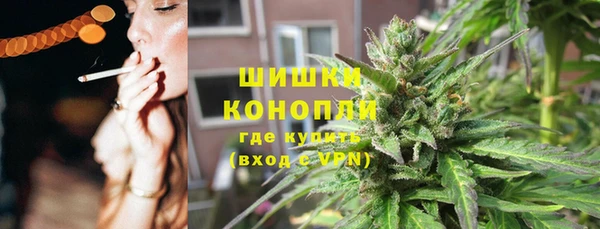 ALPHA PVP Ельня