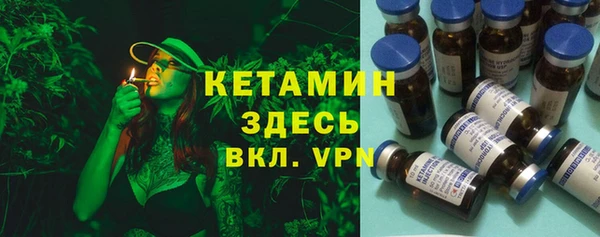сатива Елабуга