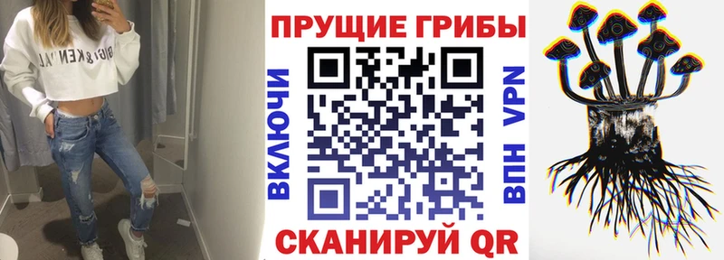 даркнет сайт  Меленки  Галлюциногенные грибы мицелий 
